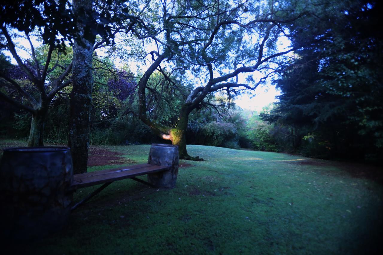 Andante Lodge Pretoria-Noord Extérieur photo